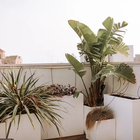 Suite1212 - Rattazzi 4*